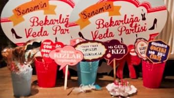 BEKARLIĞA VEDA PARTİSİ