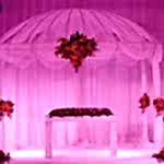 organizasyon-sirketi-kurmak-kosgeb